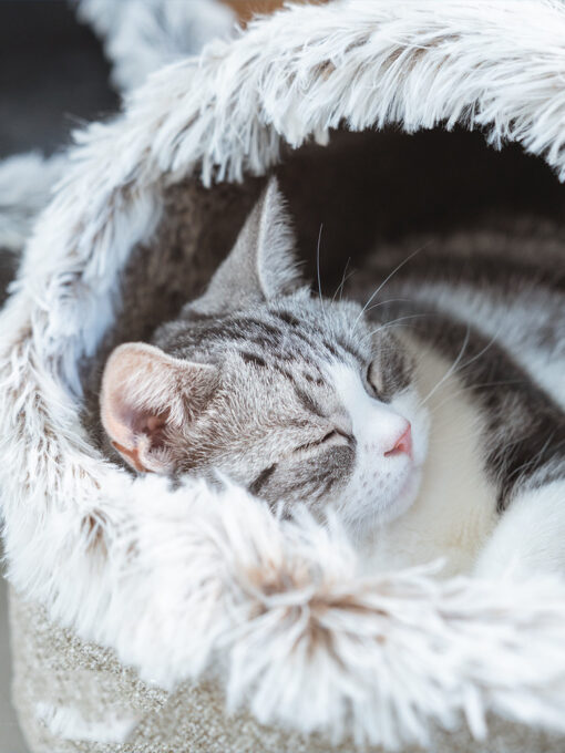 Polar Warm Cat Litter Semi-Closed Sleeping Bed