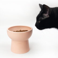 Durable Pet Ceramic Cervical Spine Food Feeder Bowl