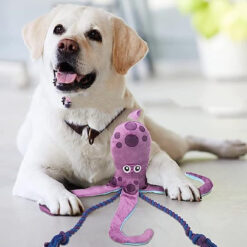 Interactive Octopus Shape Sounding Plush Molar Toy