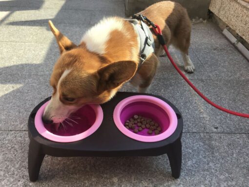 Non-slip Silicone Pet Double Separate Bowl