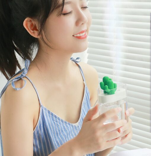 Ultrasonic Transparent Cactus Shape Aroma Humidifier