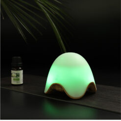 Night Light Rechargeable Aromatherapy Humidifier