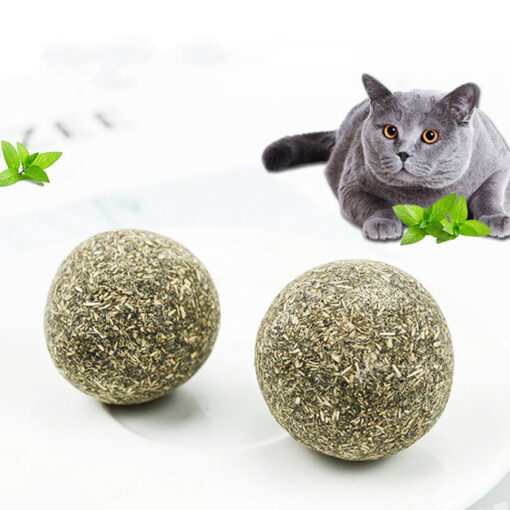 Durable Cat Catnip Teeth Cleansing Food Snacks