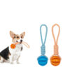 Interactive Dog Chew Molar Teeth Cleaning Ball Toy