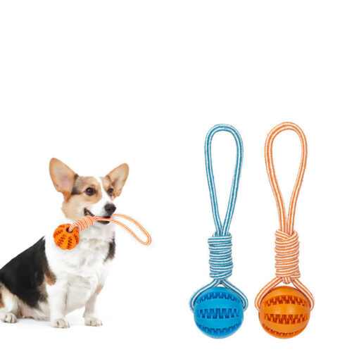 Interactive Dog Chew Molar Teeth Cleaning Ball Toy