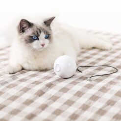 Interactive Automatic Spinning LED Light Cat Ball Toy