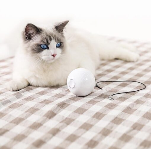 Interactive Automatic Spinning LED Light Cat Ball Toy