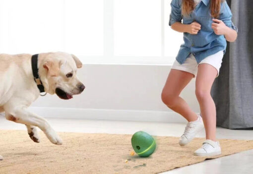 Egg-Shaped Dancing Pet Smart Snack Dispenser Toy