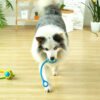 Interactive Elastic Dog Bite-resistant Molar Rubber Ball Toy