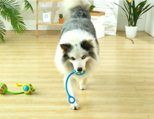 Interactive Elastic Dog Bite-resistant Molar Rubber Ball Toy