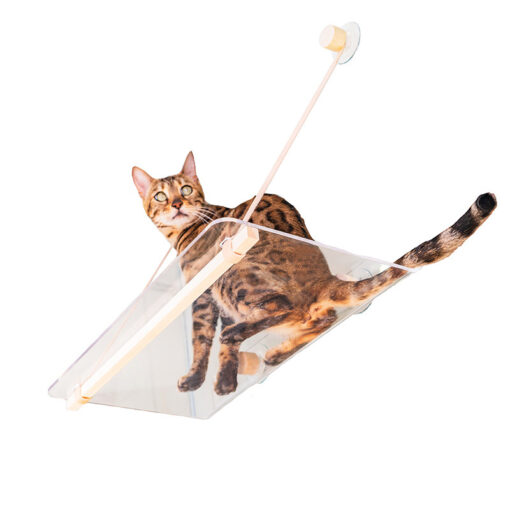 Durable Transparent Hanging Hammock Cat Bed