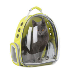Portable Transparent Cat Space Capsule Backpack Case