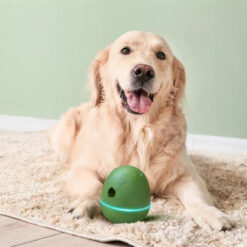 Egg-Shaped Dancing Pet Smart Snack Dispenser Toy