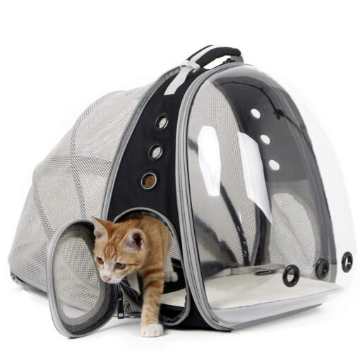 Waterproof Breathable Cat Transparent Carrying Bag