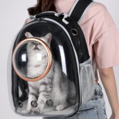 Transparent Space Capsule Eye-catching Pet Backpack