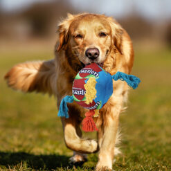 Pet Twisted Sugar Molar Food Hiding Sniffing Ball Toy