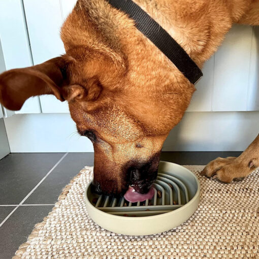 Non-Slip Silicone Pet Slow Food Feeding Bowl