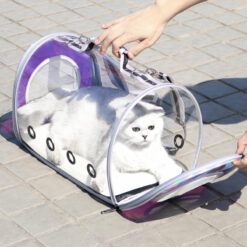 Fashionable Transparent Large Space Pet Carrier Bag