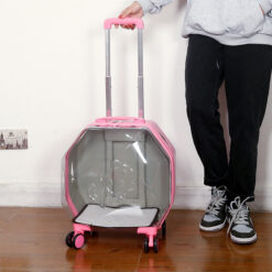 Portable Breathable Pet Backpack Trolley Box