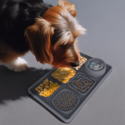 Multi-functional Dog Slow Food Feeder Sucker Mat