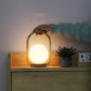 Portable Dimmable Bedside Bedroom Glass Table Lamp