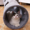 Funny Foldable Hanging Balls Long Cat Play Tunnel Toy