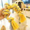 Interactive Cotton Rope Dog Tooth Grinding Toy