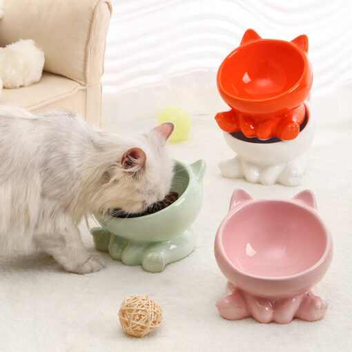 Multi-Purpose Ceramic 15° Tilt Angle Pet Bowl