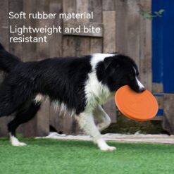 Interactive Bite-Resistant Floating Flying Disc Toy