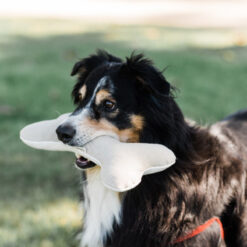 Interactive Cotton Bone Biting Squeaky Plush Dog Toy