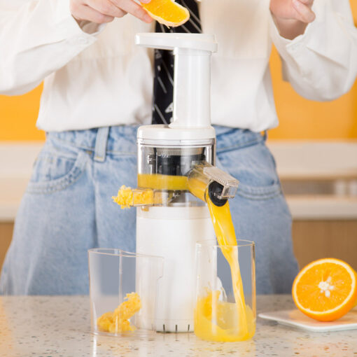 Electric Mini Household Fruit Juicer Separation Machine