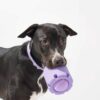 Interactive Dog Tennis Cup Bite-resistant Rubber Toy