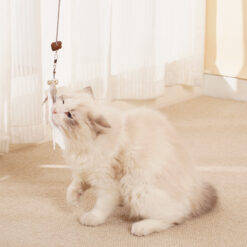 Multifunctional Hanging Pet Self-Hi Leaking Feather Toy