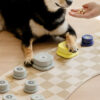 Stitching Miniature Recording Dog Training Talking Button