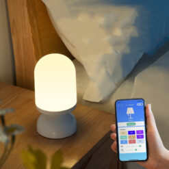 Intelligent Voice-controlled Small Night Light