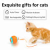 Interactive Electric USB Rechargeable Cat Rolling Ball Toy