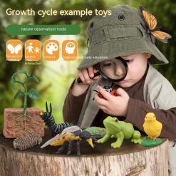 Creative Children's Animal Plant Growth Cycle Toy