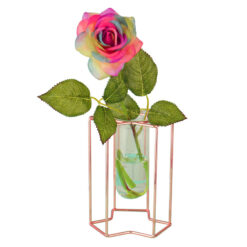 Minimalist Light Luxury Ornaments Hydroponic Glass Vase