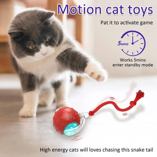 Interactive USB Rechargeable Self-Rotating Ball Cas Toy