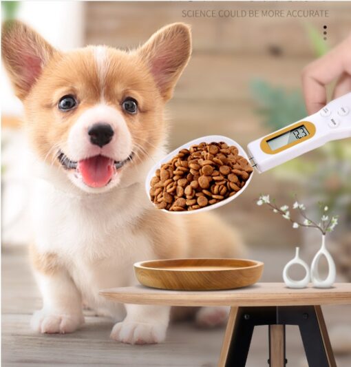 Creative Electronic Pet Feeding Weighing Spoon