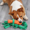 Interactive Carrot Shape Pet Sniffing Toy