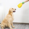 Interactive Household Pineapple Sniffing Pet Toy