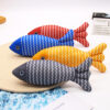 Interactive Fish Shape Catnip Teething Sound Toy