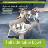 Stainless Steel Double Protection Cervical Spine Pet Bowl