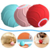 Interactive Smart Bouncing Rolling Ball Pet Toy
