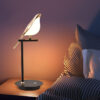 Creative Bedside Reading Bird Night Light Table Lamp