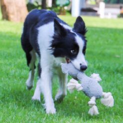 Interactive Reduce Stress Bite-resistant Pet Squeaky Plush Toy