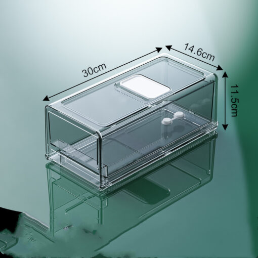 Multifunctional Transparent Refrigerator Drawer Storage Box