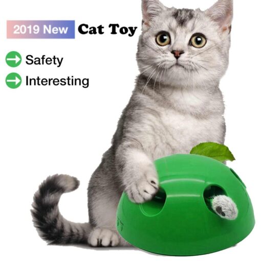 Interactive Funny Scratching Claw Play Cat Training Toy