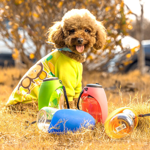 Portable Pet Drinking Water Bottle Feeding Bowl